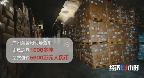 海關重拳出擊 查獲走私凍品4.9萬噸，部分竟源自非洲豬瘟高發疫區，國內貿易代理敲響安全警鐘